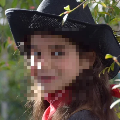 תחפושת להחלפה: בוקרת במערב הפרוע — תמונה 3