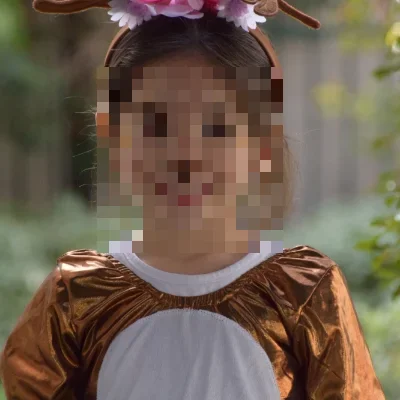 תחפושת להחלפה: איילה חמודה — נוף איילון